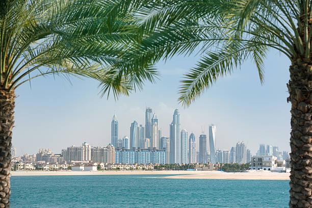 Dubai skyline viewed through palm trees by the waterfront, relevant to the 2024 UID number Dubai Visa guide.